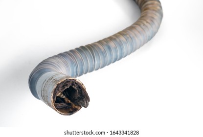 Clogged Plastic Corrugated Drain Hose. Isolated On A White Background.