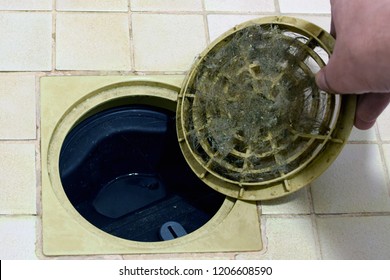 Clogged Shower / Bathroom Drain Strainer. Hairs Have Blocked A Grate. 