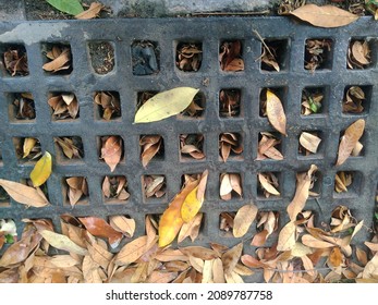 Clogged Storm Drain, Sewer Blocked With Autumn Leaves. Street Water Drain Covered With Foliage. Debris Blocks Rainwater Runoff, Clogged Sewer Flooding Across Road After Rain. Leafs Clog Water Drainage