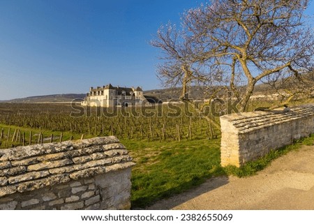 Clos de Vougeot castle, Cote de Nuits, Burgundy, France
