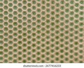 Close up of 3d hexagonal or honeycomb shape porcelain tiles in green color. Suitable for pottery, tiles, and porcelain. Seamless background texture.