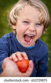 Close Up Of 5 Year Old Child With Blonde Hair And Blue Eyes Reaching Up Towards The Camera To Grab An Apple Being Offered To Him