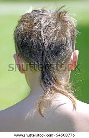 Image, Stock Photo undercover Bengel II Grass