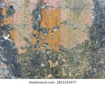 Close up abstract texture of old weathered wall with peeling pink paint, orange lichen, black mold and green moss, grunge background