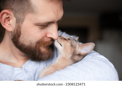 Close up of abyssinian kitten cuddling bearded man's nose. Tenderness, friendship between human and cat. Pets care. World cat day. Selective focus.