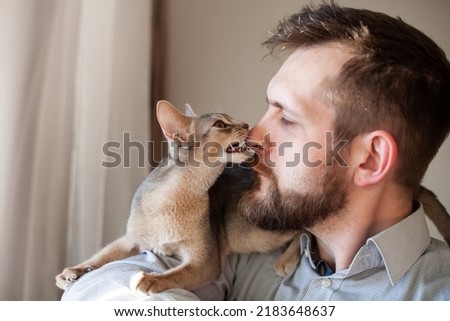 Close up of abyssinian kitten gently biting bearded man's nose lying on his shoulder on a beige background. Love relationship, friendship between human and cat. Pets care. Selective focus.