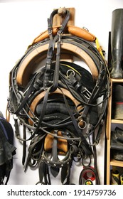 Close Up Of Accessories In A Tack Room At Rural Riding School. Storage Room With Riding Tack