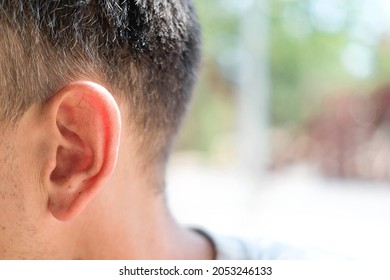 Close Up Of Adult Male Ear On Outdoor. Place For Text. Hearing Problems. Eavesdrop On Gossip. Copy Space.