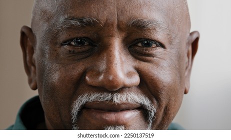 Close up African American male face with wrinkles and gray beard cheerful happy biracial smiling bald man looking at camera smile toothy dentistry healthcare 60s senior mature elderly businessman - Powered by Shutterstock