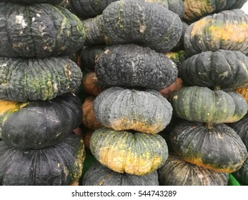 close up all of pumpkin