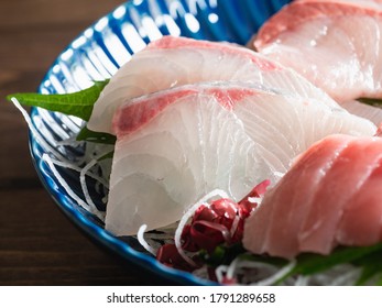 Close Up Of Amberjack Sashimi.