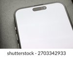 Close angle of the front module with pill-style cutout on a bright screen, clean macro detail.
