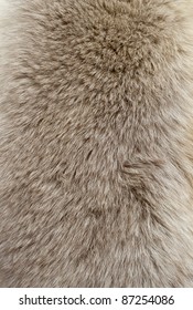 Close Up Of An Animal Colored Fur Texture