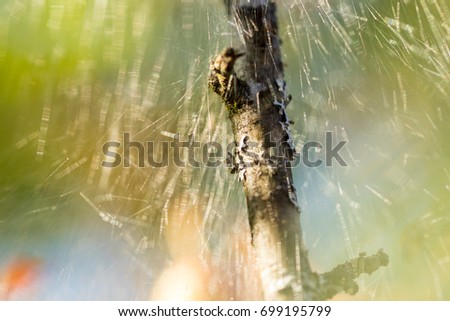 Similar – Image, Stock Photo in the brine park ….