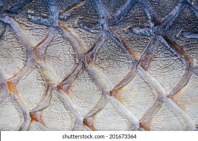 144 Arapaima Scales Images, Stock Photos & Vectors | Shutterstock