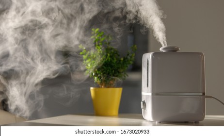 Close up of aroma oil diffuser on the table at home, steam from the air humidifier, houseplant in yellow pot on background, daylight. Increase in air humidity indoors, comfortable living conditions. 