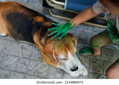 Close Up Asian Child Girl Dirty Shirt Pretend To Hold Dog Head While It Laying Down On Tile Floor.Child Try Put Dirty Hand On Beagle Head,it Give Away To Her,close Friend Funny Drawing Activity.