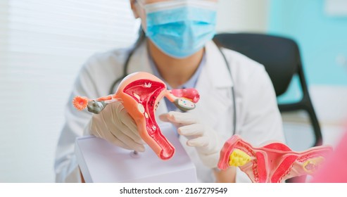 Close Up Of Asian Female Doctor Wear White Coat And Face Mask Explaining Uterus Model To Woman In Hospital