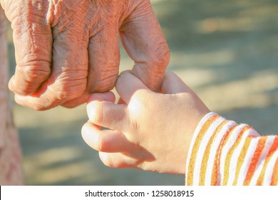 Close Up Asian Grandmother And Grandchild Holding Hands