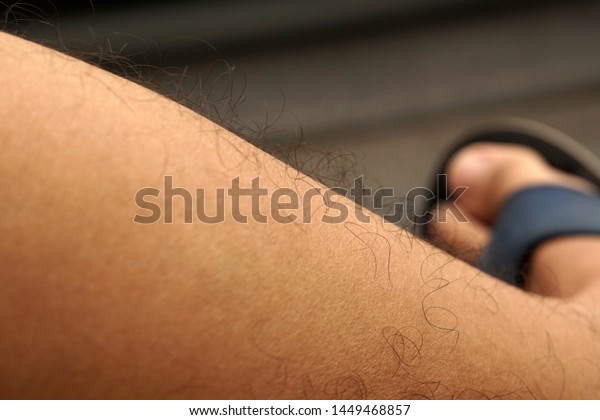 Asian Hairy Picture