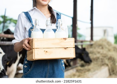 Close Up Of Asian Woman Dairy Farmer Holding Bottle Of Milk In Cowshed.  Young Beautiful Female Agricultural Farmer Smile And Look At Camera After Milking Cow With Happiness At Livestock Farm Industry