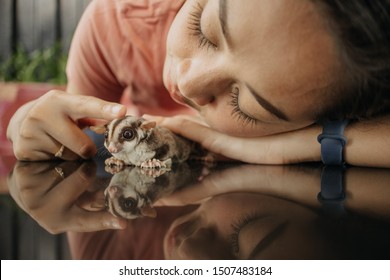 Close up of Asian woman with her cute Sugar Glider pet.