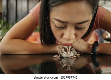 Close up of Asian woman with her cute Sugar Glider pet.
