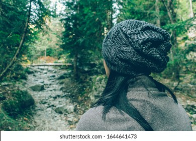 Close Up Of Asian Woman Hiker Walk Through The Pine Forest In Cold Weather From Behind Angle.