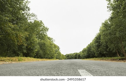 Close up asphalt road surrounded by wild forest trees  background  - Powered by Shutterstock