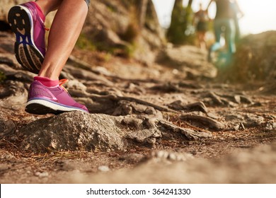 Close up of an athlete's feet wearing sports shoes on a challenging dirt track. Trail running workout on rocky terrain outdoors. - Shutterstock ID 364241330