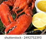 Close up Atlantic lobster cooked boiled prepared ready to eat. Cracker seafood fork. Shellfish crustacean. Lemon half, fresh dill, melted garlic butter. Meal lunch dinner expensive. Luxury wealth. 