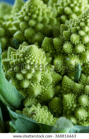 Similar – Image, Stock Photo Close up broccoli in a farm. Big broccoli plantation.