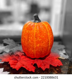 Close Up Autumn Pumpkin Decorating 