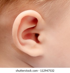 Close Up Of Baby Ear