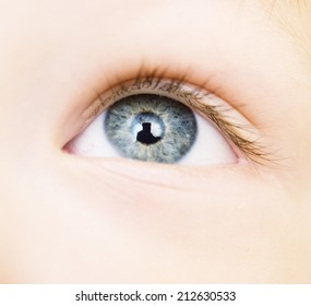 Close Up Of Baby Eye