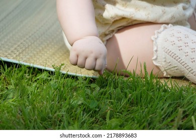 Close Up Of Baby Girl Sitting On Picnic Blanket At Lawn Playing With Grass 