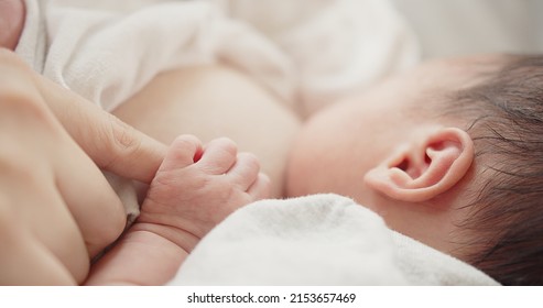 Close up baby hand holding mom fingers, mother breastfeeding newborn baby infant nursing and feeding Baby, feeling love in touch, maternity, healthcare, breastfeeding, motherhood, childhood concept	
 - Shutterstock ID 2153657469