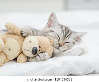 Kitten Toys Images Stock Photos Vectors Shutterstock