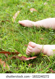 Close up of baby legs, feet and toes in a green grass with autumn leaves. Child sat on the lawn. Sensory play and child development concept.  - Shutterstock ID 1832240272