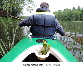 Close Up Of The Back Of The Canoeist, Kayakist Paddling Against A Field Of Equisetum Palustre, Marsh Horsetail From Kayak. Poland, Europe