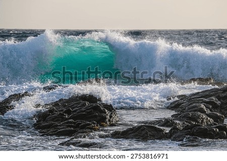 Close up of a back lit breaking wave