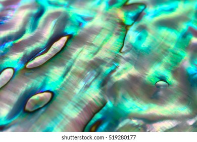 Close up background of abalone shell, haliotis 