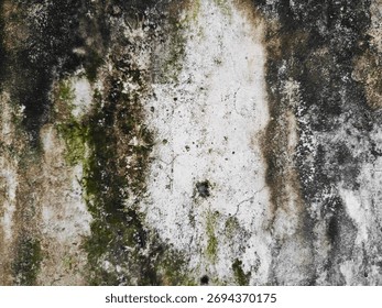 A close up background of a rough, damp, and decaying concrete surface. Patches of green moss and dark mold create an abstract grunge texture.