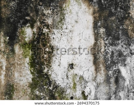 A close up background of a rough, damp, and decaying concrete surface. Patches of green moss and dark mold create an abstract grunge texture.