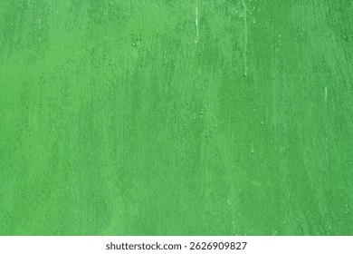 Close up background rough texture of abstract surface painted green