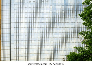 A close up background texture of a modern skyscraper glass facade reflecting the sky next to green tree leaves.