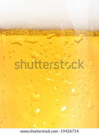 Close up of backlit glass of beer