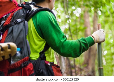 close up backpack walking in forest
