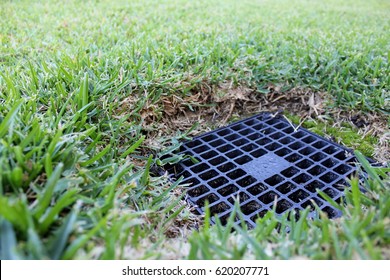 Close Up Of Backyard Drainage Inlet