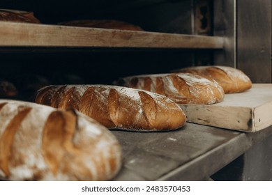 Close up of baker is taking off from oven the french baguette bread with wood peel at baking manufacture factory. French baguette bread bakery factory concept.